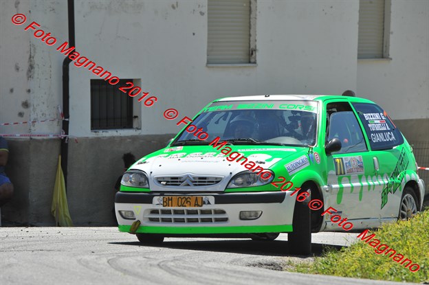 DSC_8411.JPG